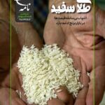 برنجنامه 6