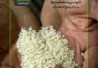 برنجنامه 6